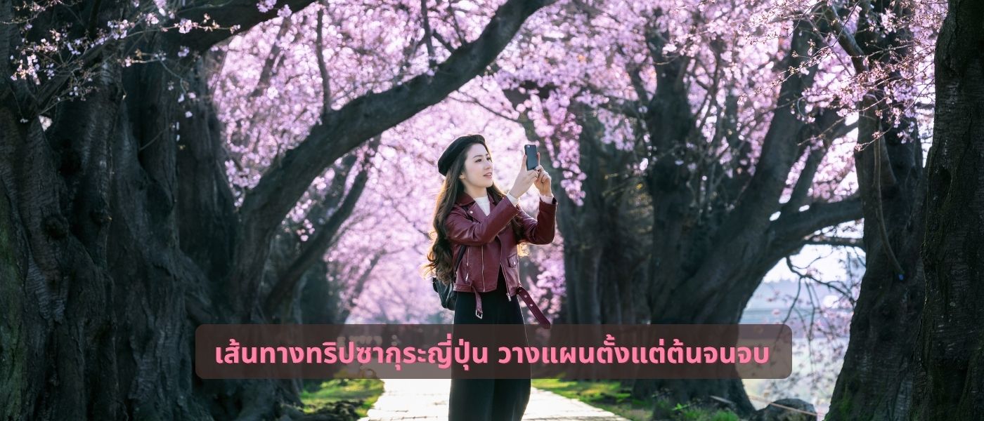 เส้นทางทริปซากุระญี่ปุ่น วางแผนตั้งแต่ต้นจนจบ