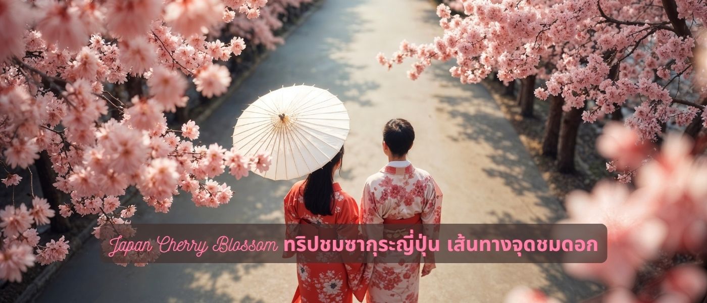 Japan Cherry Blossom ทริปชมซากุระญี่ปุ่น เส้นทางจุดชมดอก